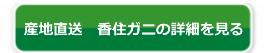 産地直送香住ガニ