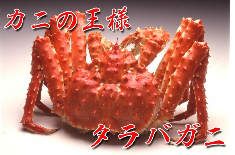 カニの王様 タラバガニ