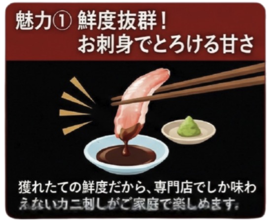 甲羅組　ズワイガニ